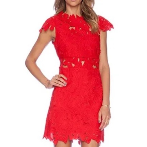 Piper Lace High Collar Mini Dress - Picture 12 of 12